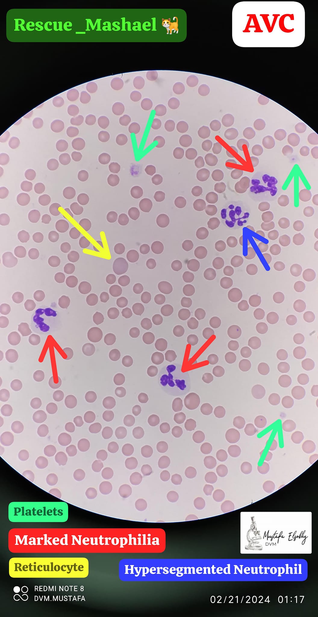 428646815_25712036825062113_5935229958060083679_n.jpg