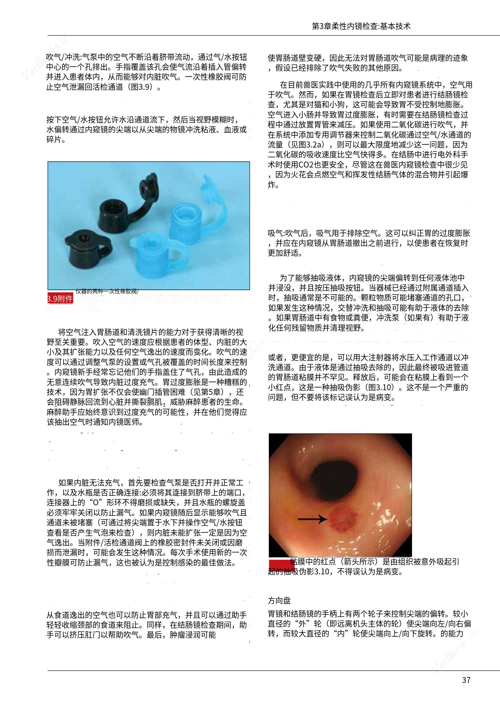 translated.39cc28bee0fb4fc48901cf3be399aa6b_43.png