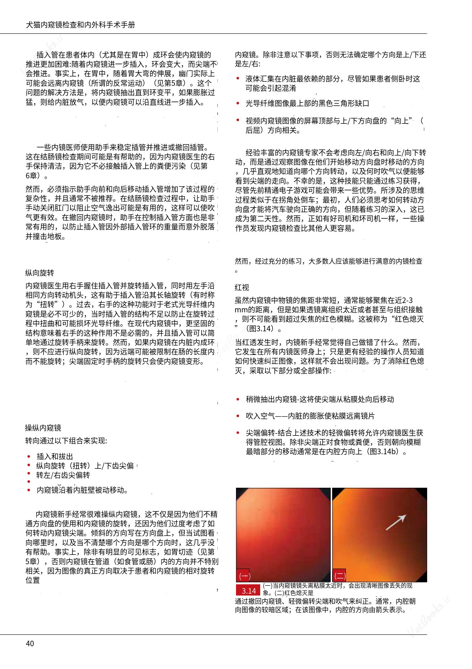 translated.39cc28bee0fb4fc48901cf3be399aa6b_46.png