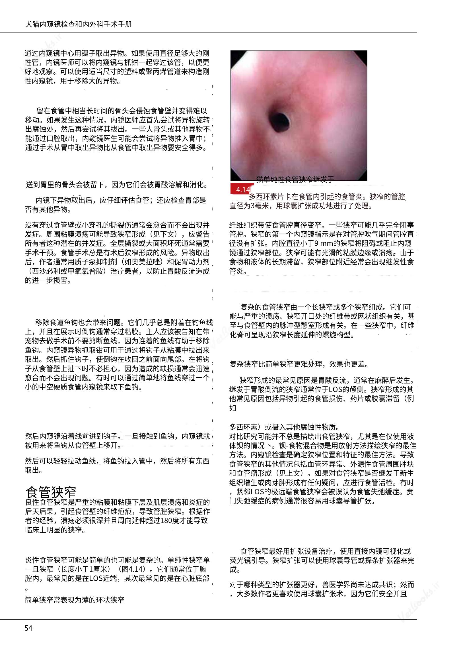 translated.39cc28bee0fb4fc48901cf3be399aa6b_60.png