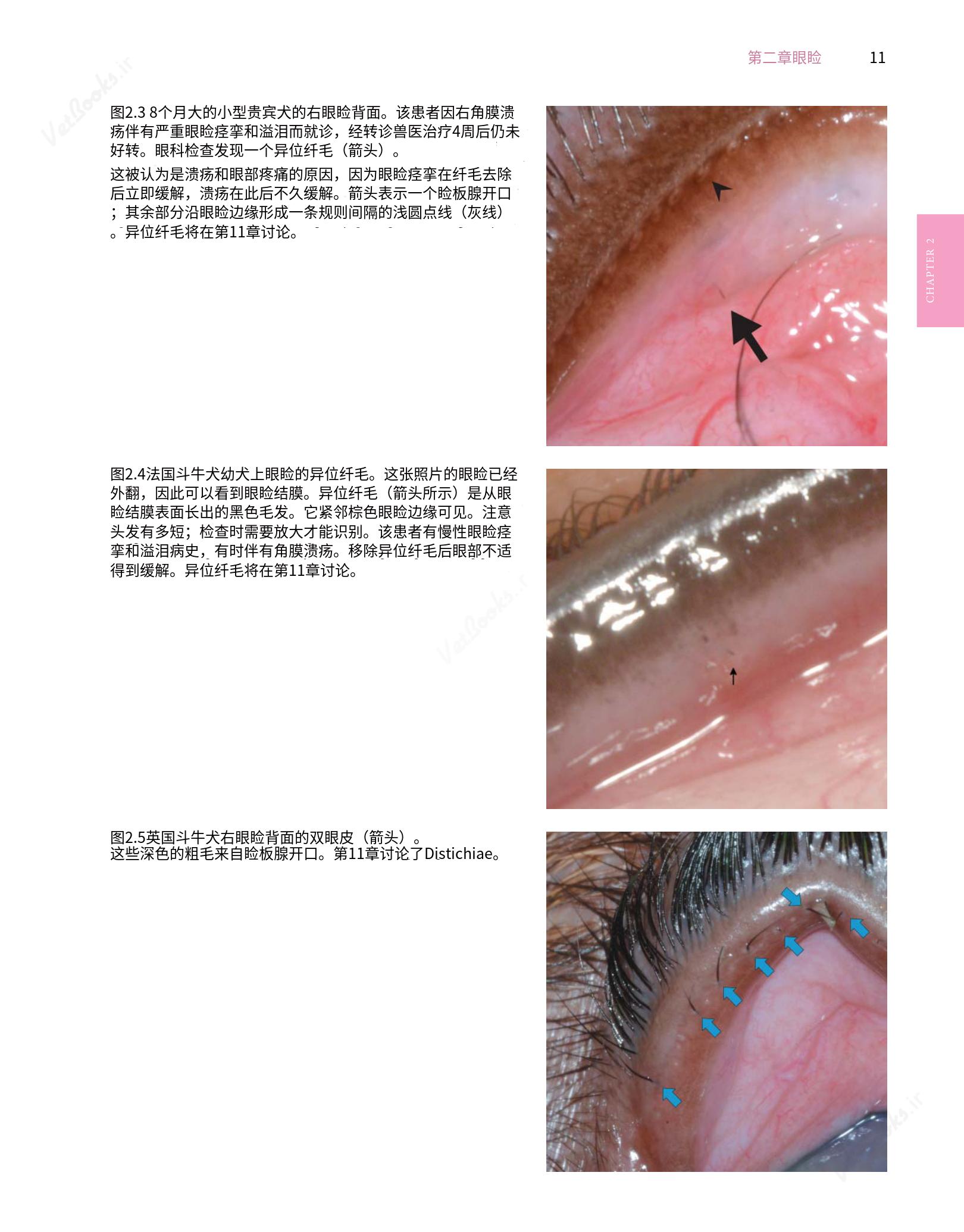 translated.8d36d370b5854e5687dea4520313d3b9_35.png