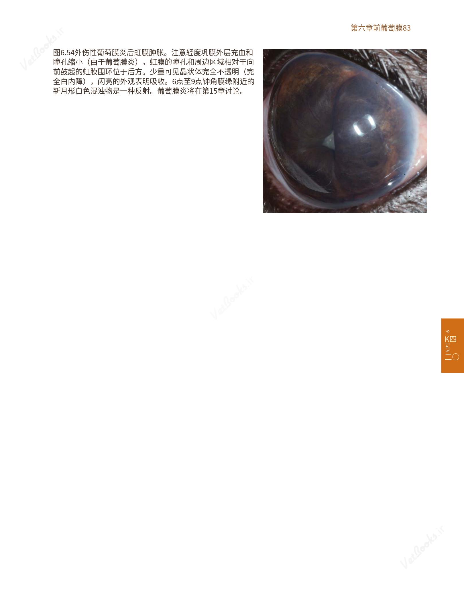 translated.8d36d370b5854e5687dea4520313d3b9_107.png