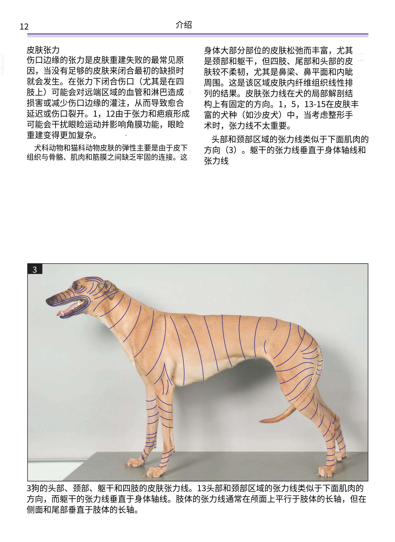 translated.a8c5a3760bed415983298318b0ec0541_13.png