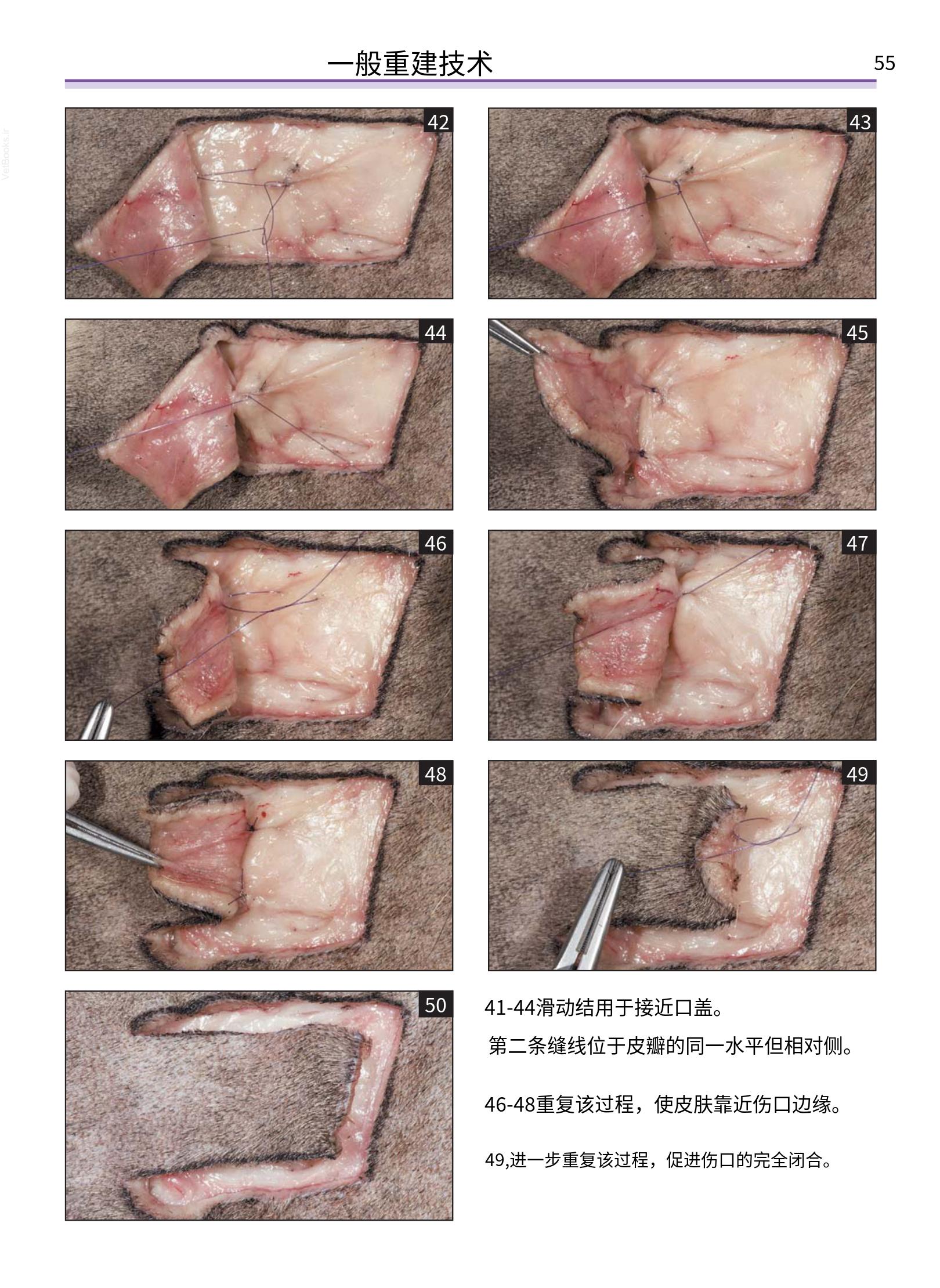 translated.a8c5a3760bed415983298318b0ec0541_56.png