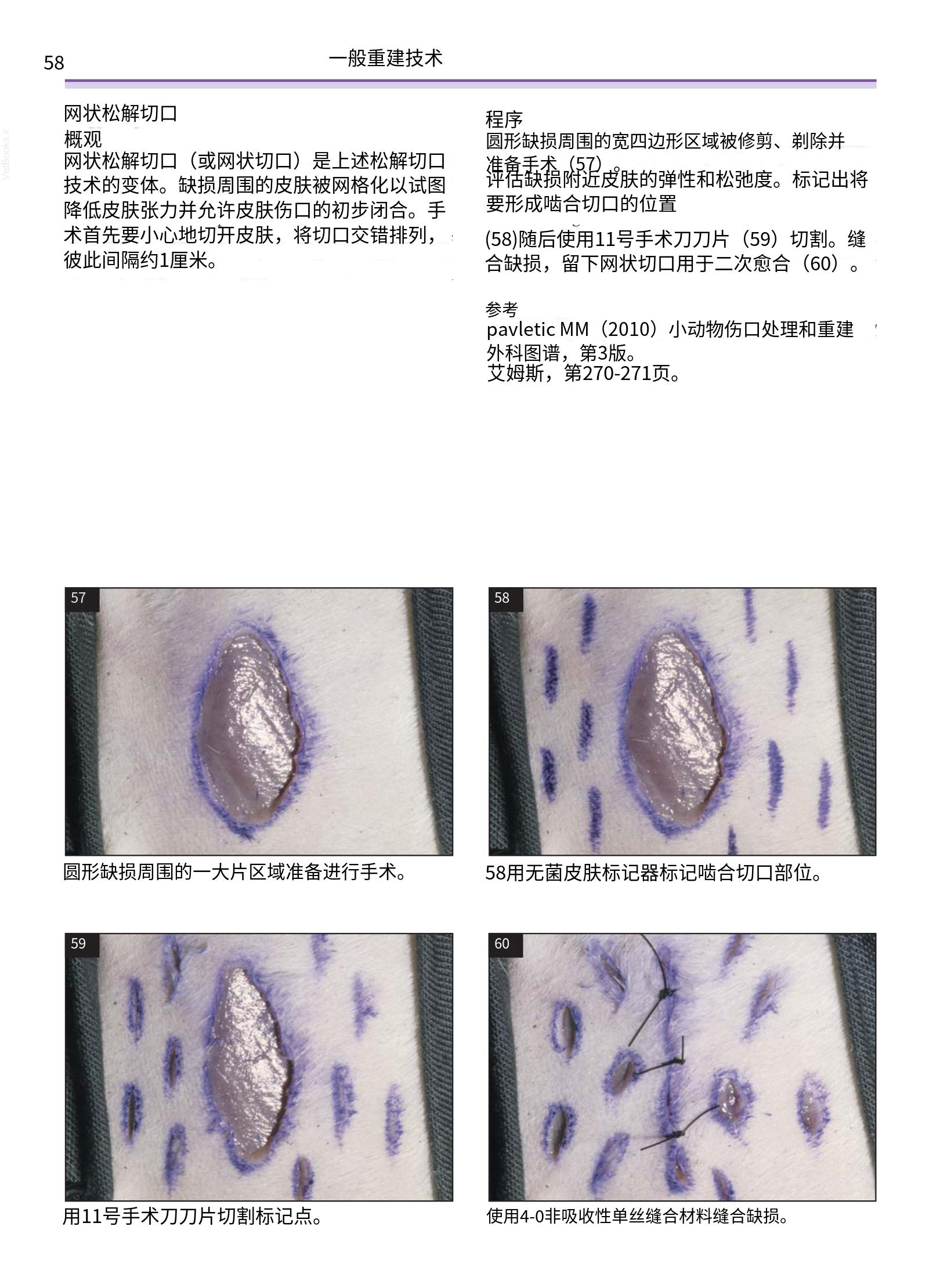 translated.a8c5a3760bed415983298318b0ec0541_59.png