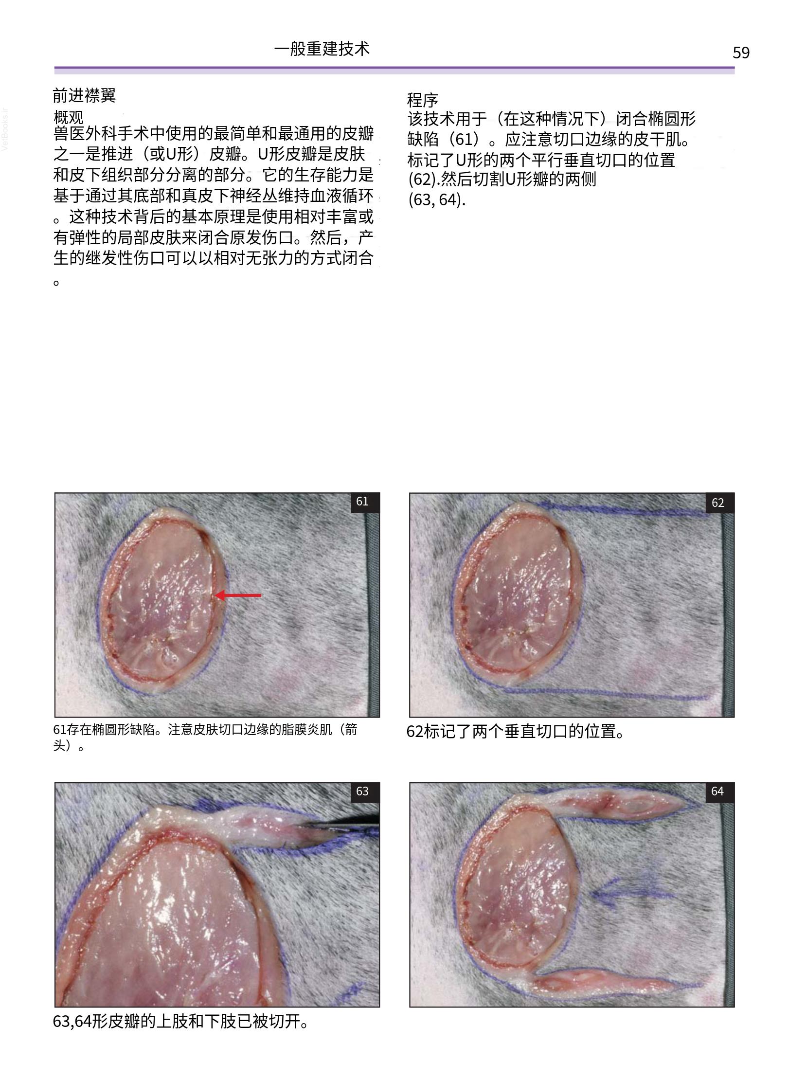 translated.a8c5a3760bed415983298318b0ec0541_60.png