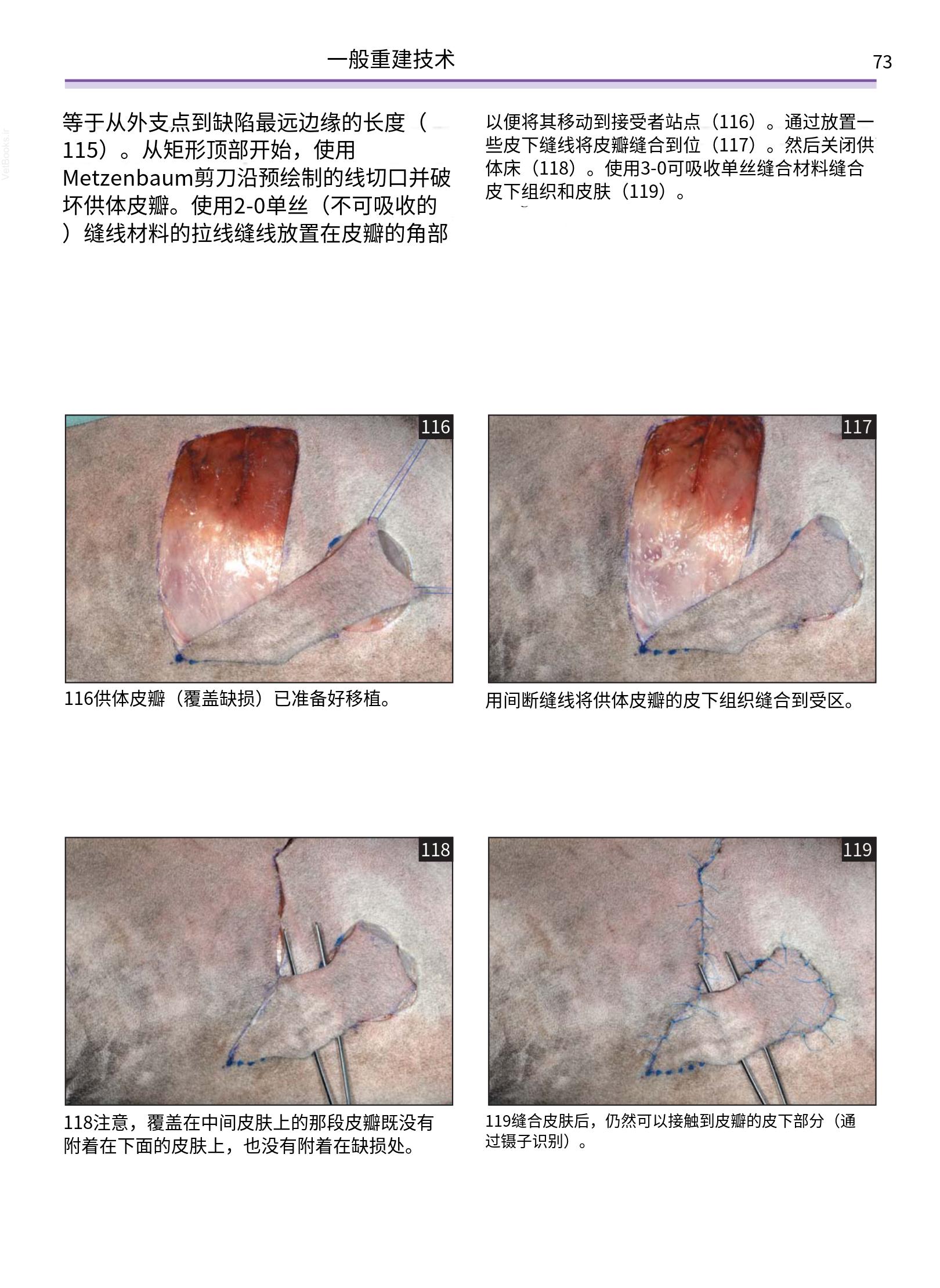 translated.a8c5a3760bed415983298318b0ec0541_74.png