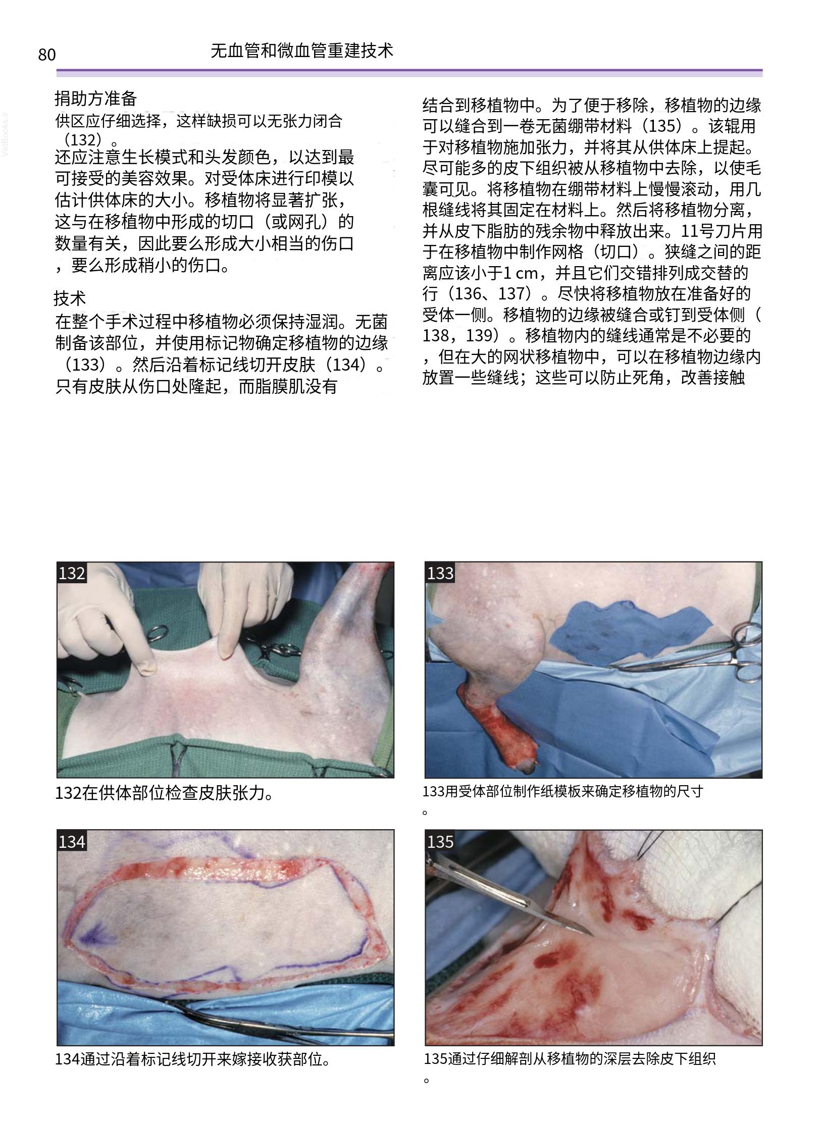 translated.a8c5a3760bed415983298318b0ec0541_81.png
