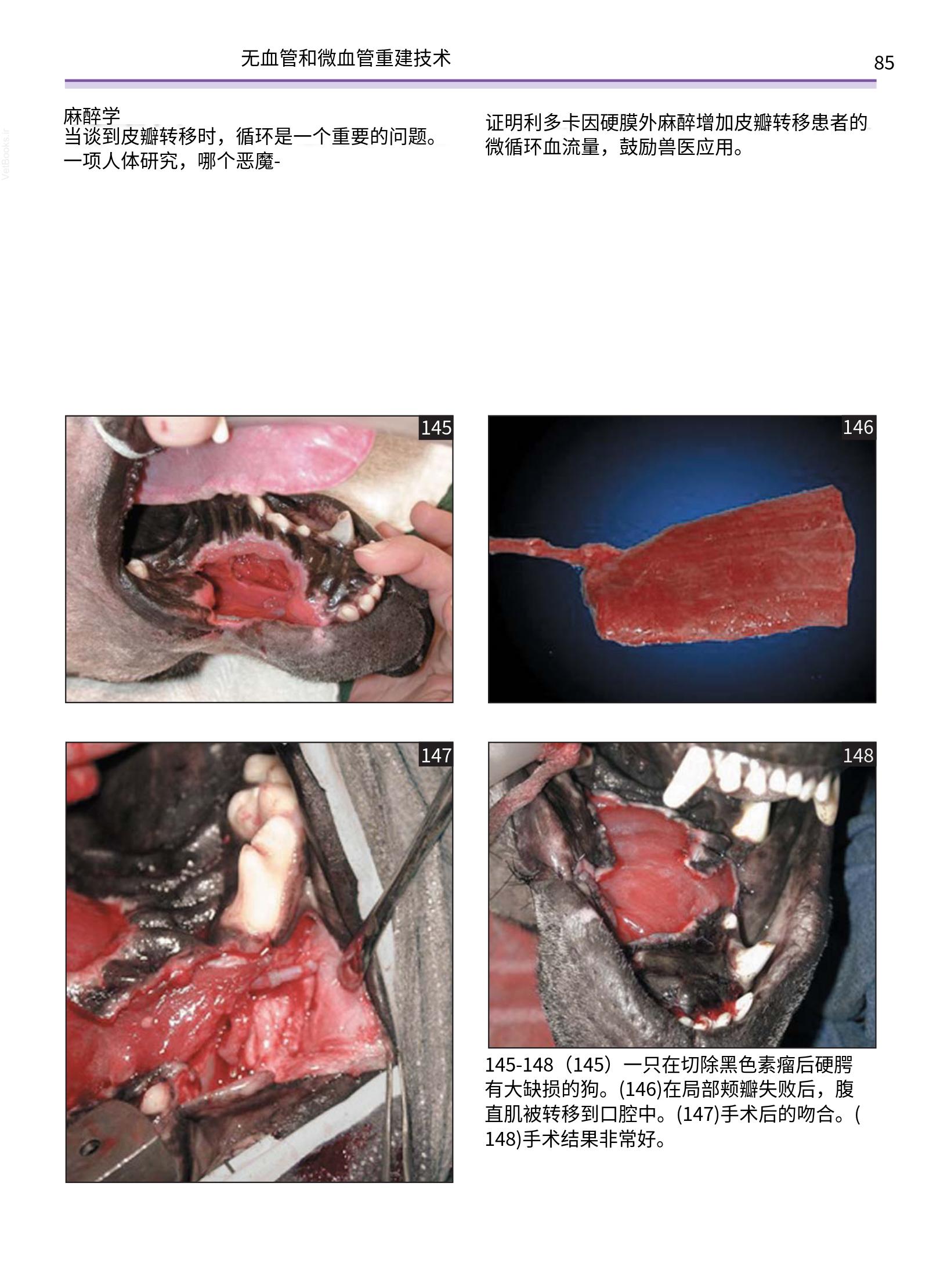 translated.a8c5a3760bed415983298318b0ec0541_86.png