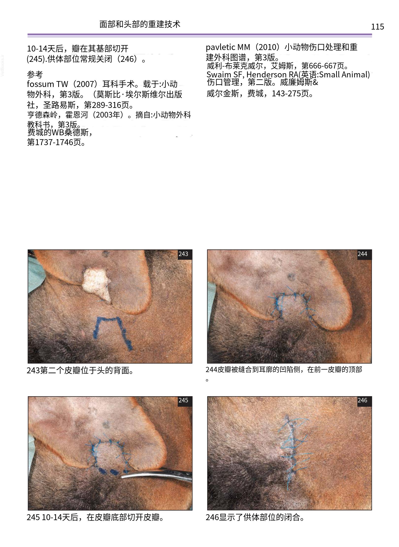 translated.a8c5a3760bed415983298318b0ec0541_116.png