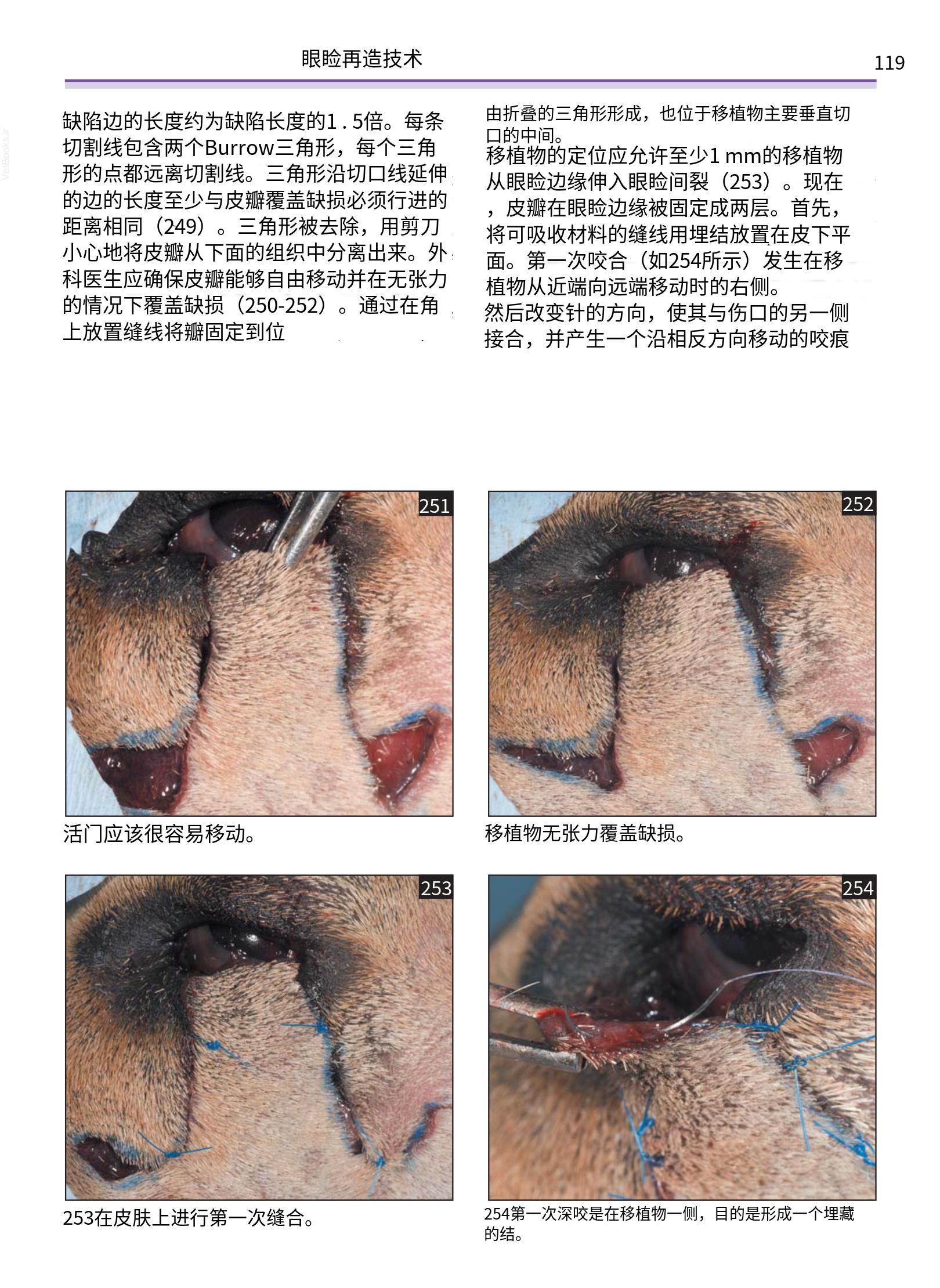 translated.a8c5a3760bed415983298318b0ec0541_120.png