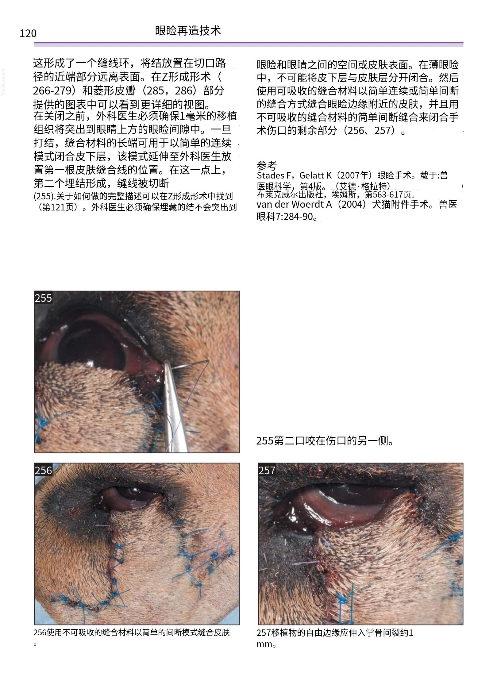 translated.a8c5a3760bed415983298318b0ec0541_121.png