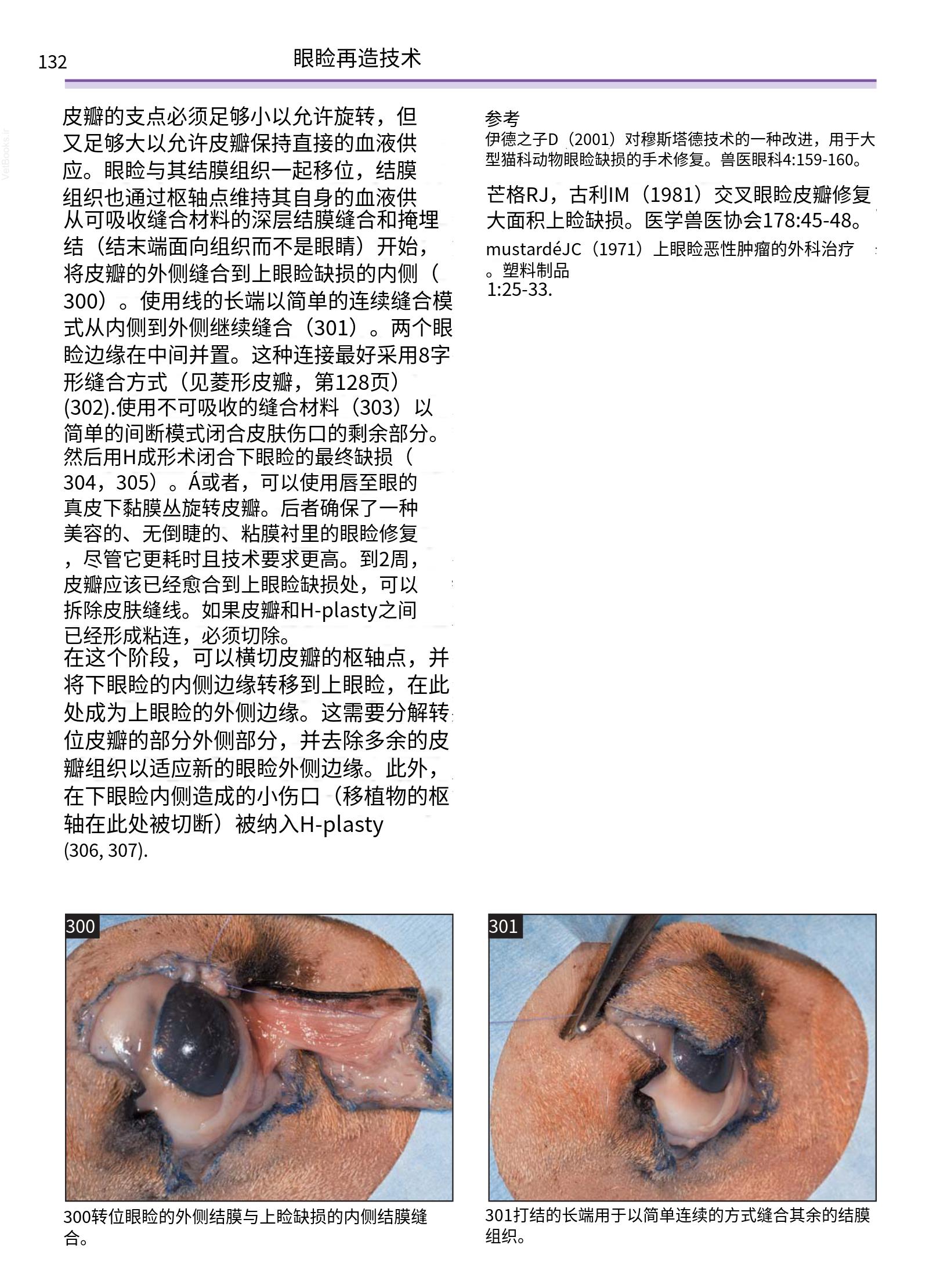 translated.a8c5a3760bed415983298318b0ec0541_133.png
