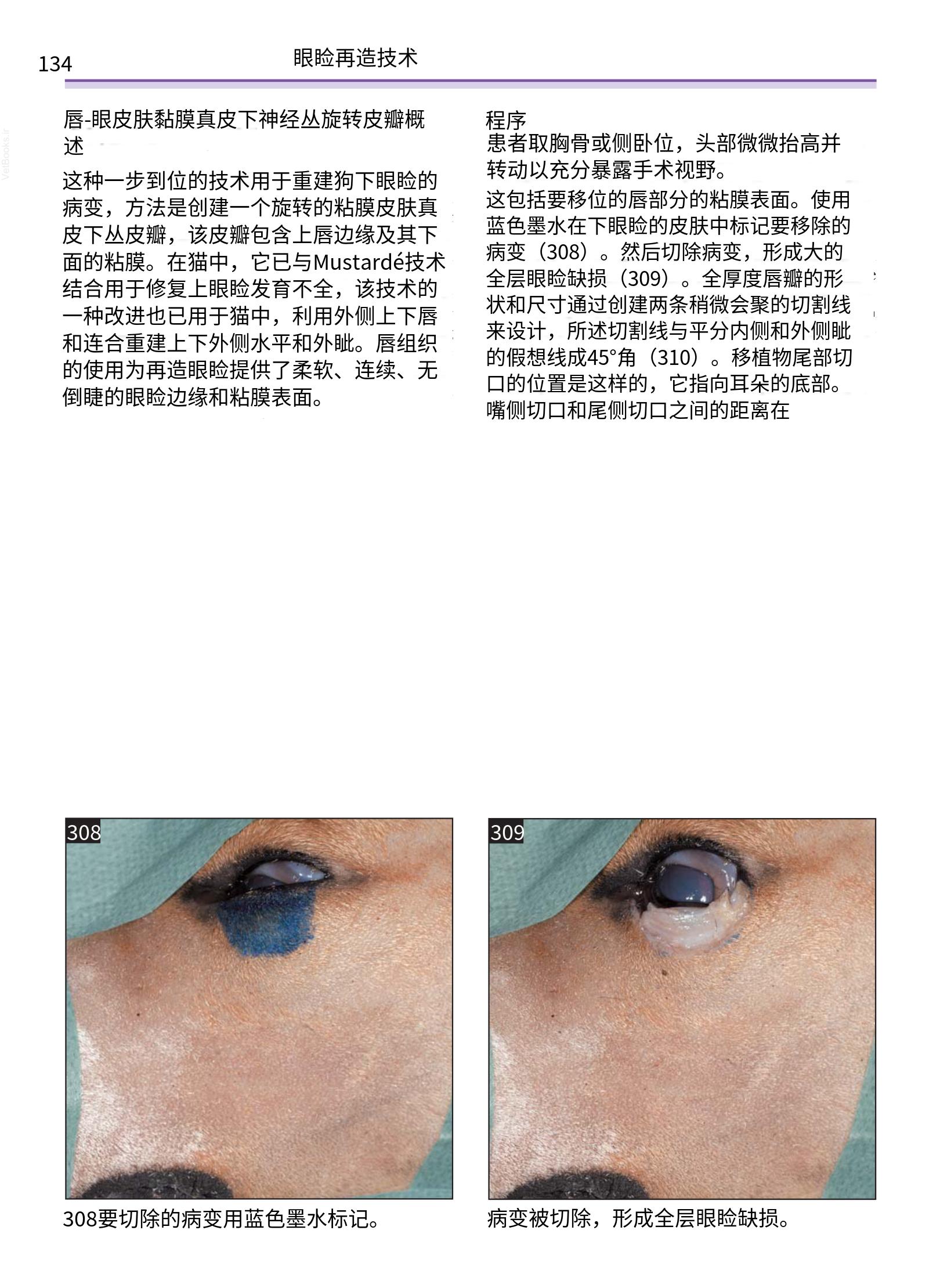 translated.a8c5a3760bed415983298318b0ec0541_135.png