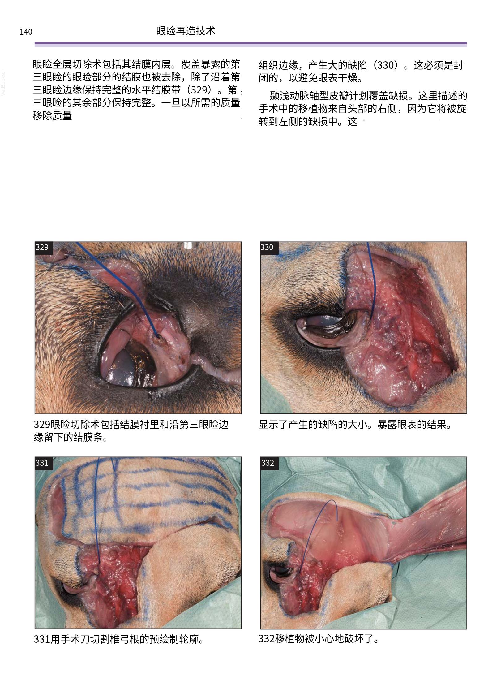 translated.a8c5a3760bed415983298318b0ec0541_141.png