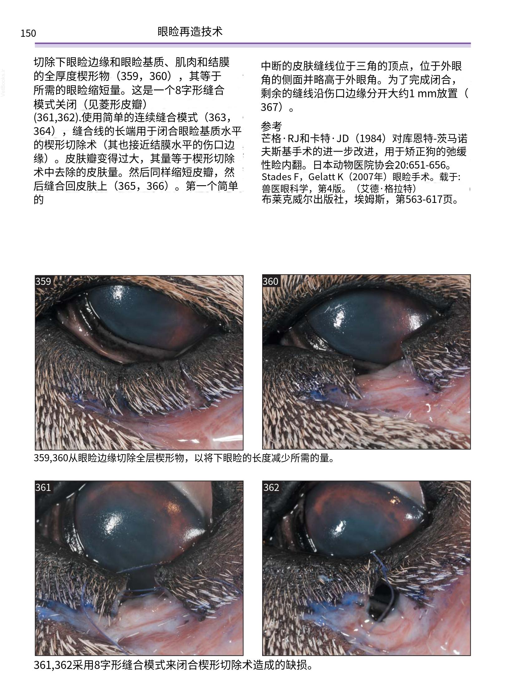 translated.a8c5a3760bed415983298318b0ec0541_151.png