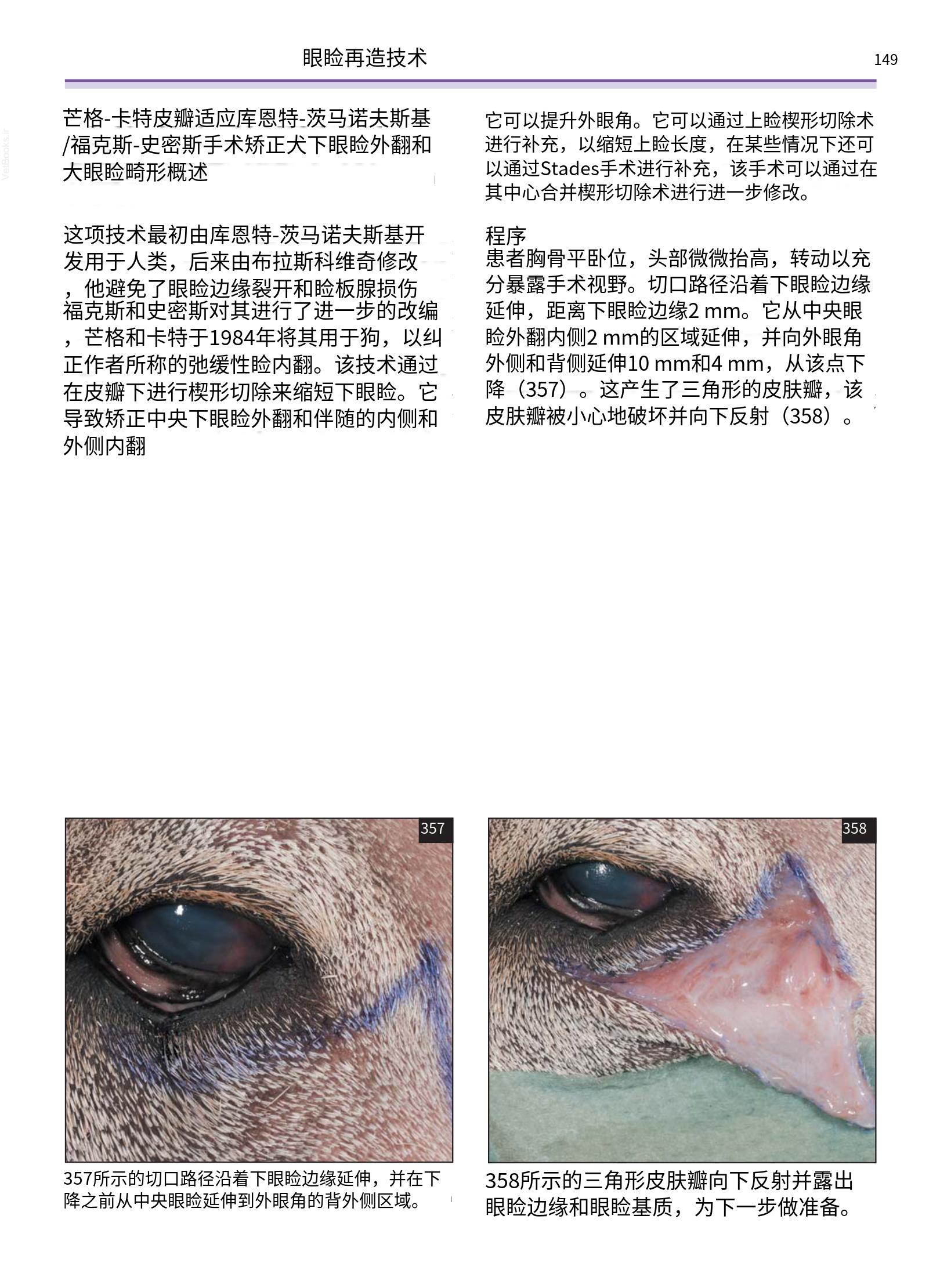 translated.a8c5a3760bed415983298318b0ec0541_150.png