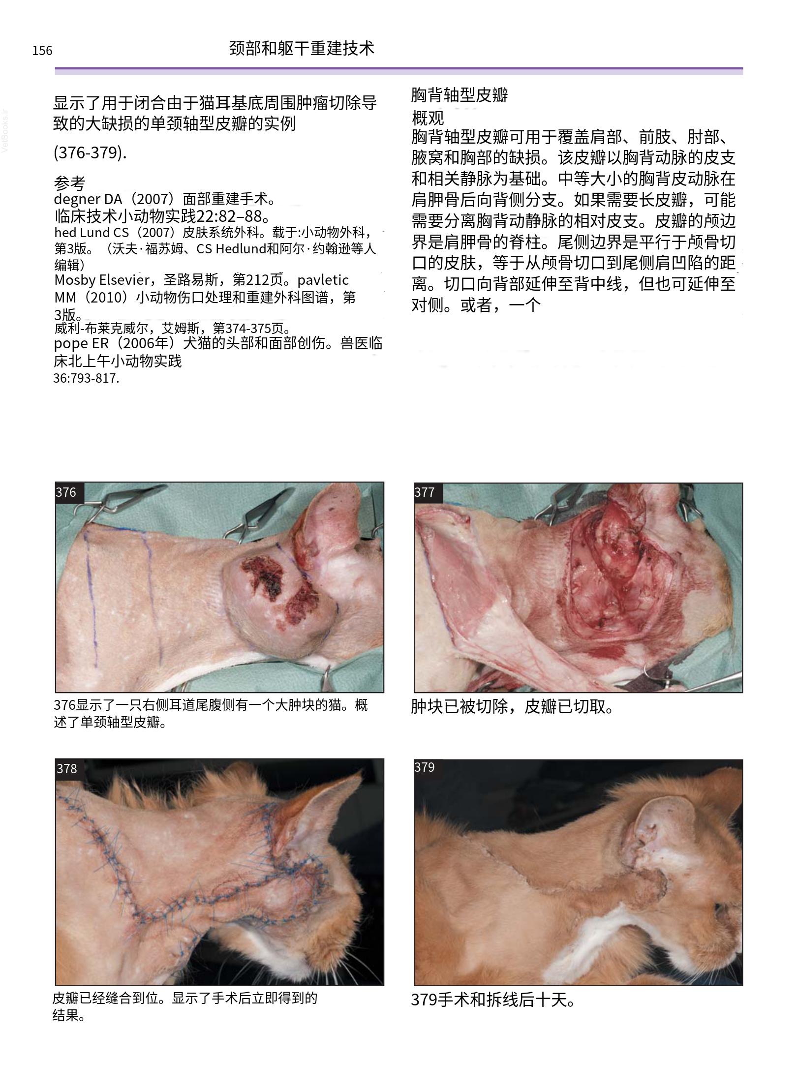 translated.a8c5a3760bed415983298318b0ec0541_157.png