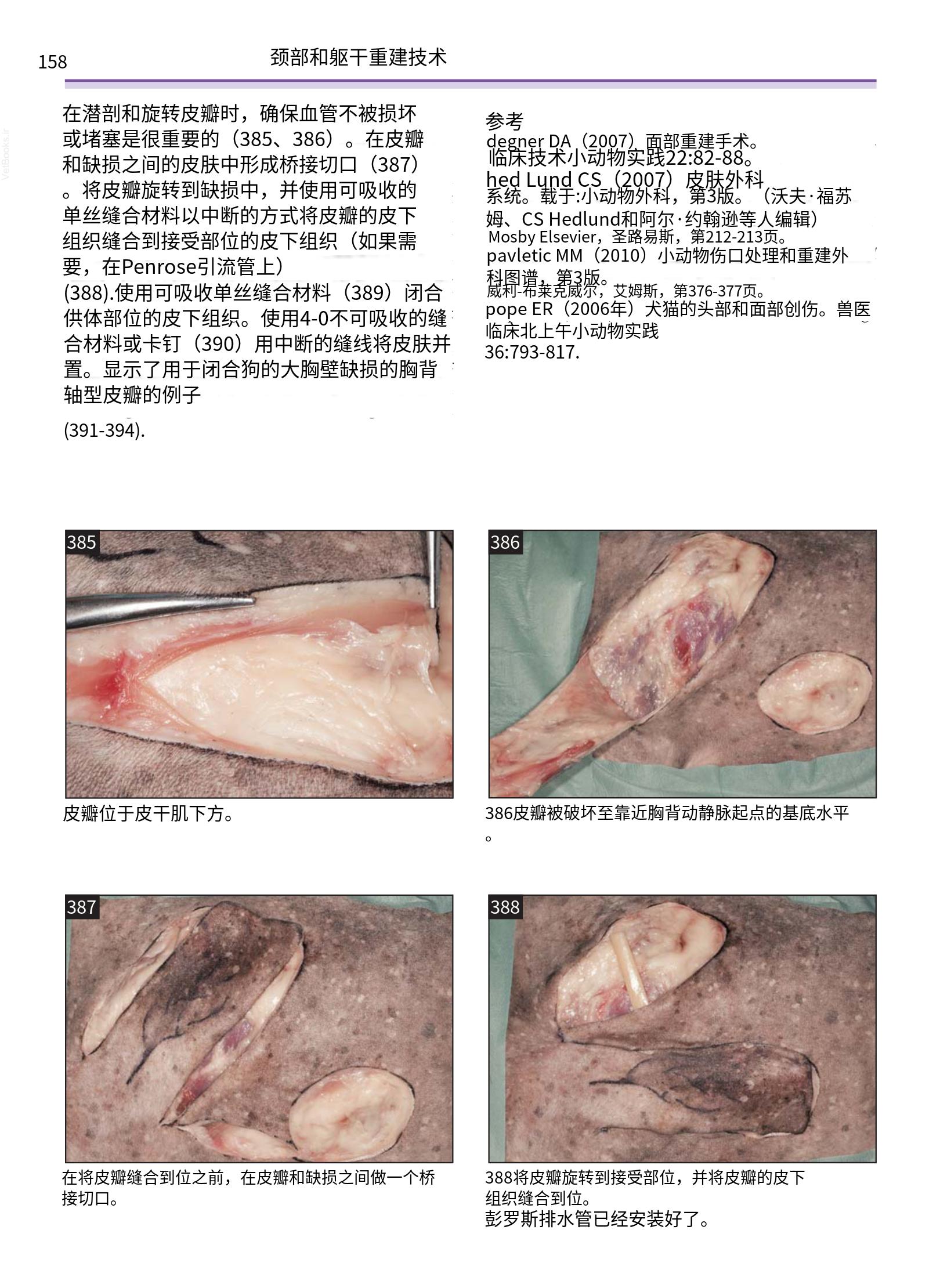 translated.a8c5a3760bed415983298318b0ec0541_159.png