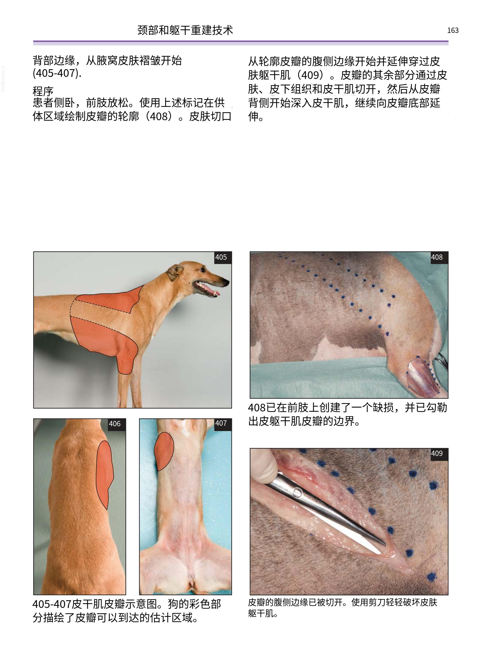 translated.a8c5a3760bed415983298318b0ec0541_164.png