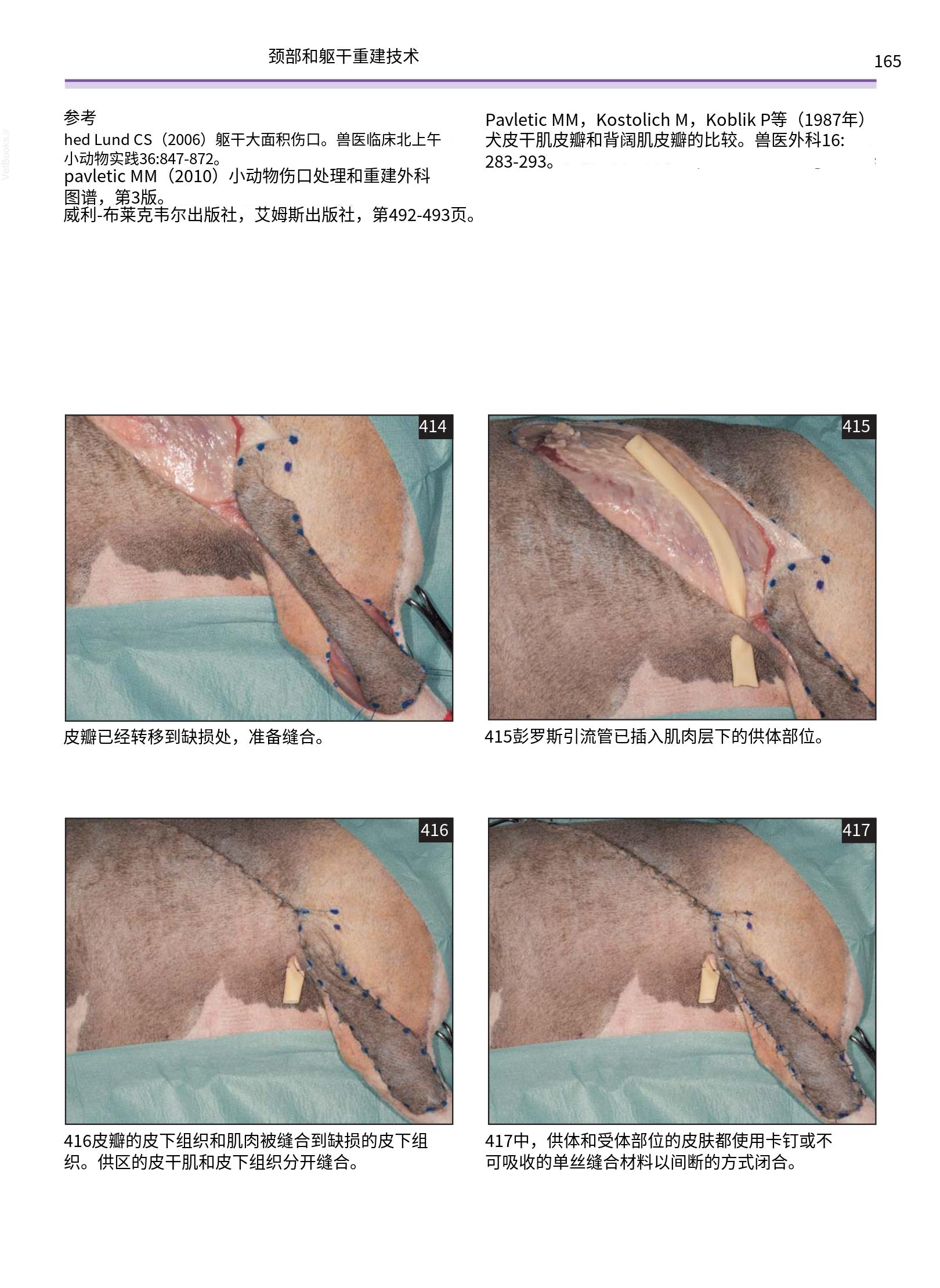 translated.a8c5a3760bed415983298318b0ec0541_166.png