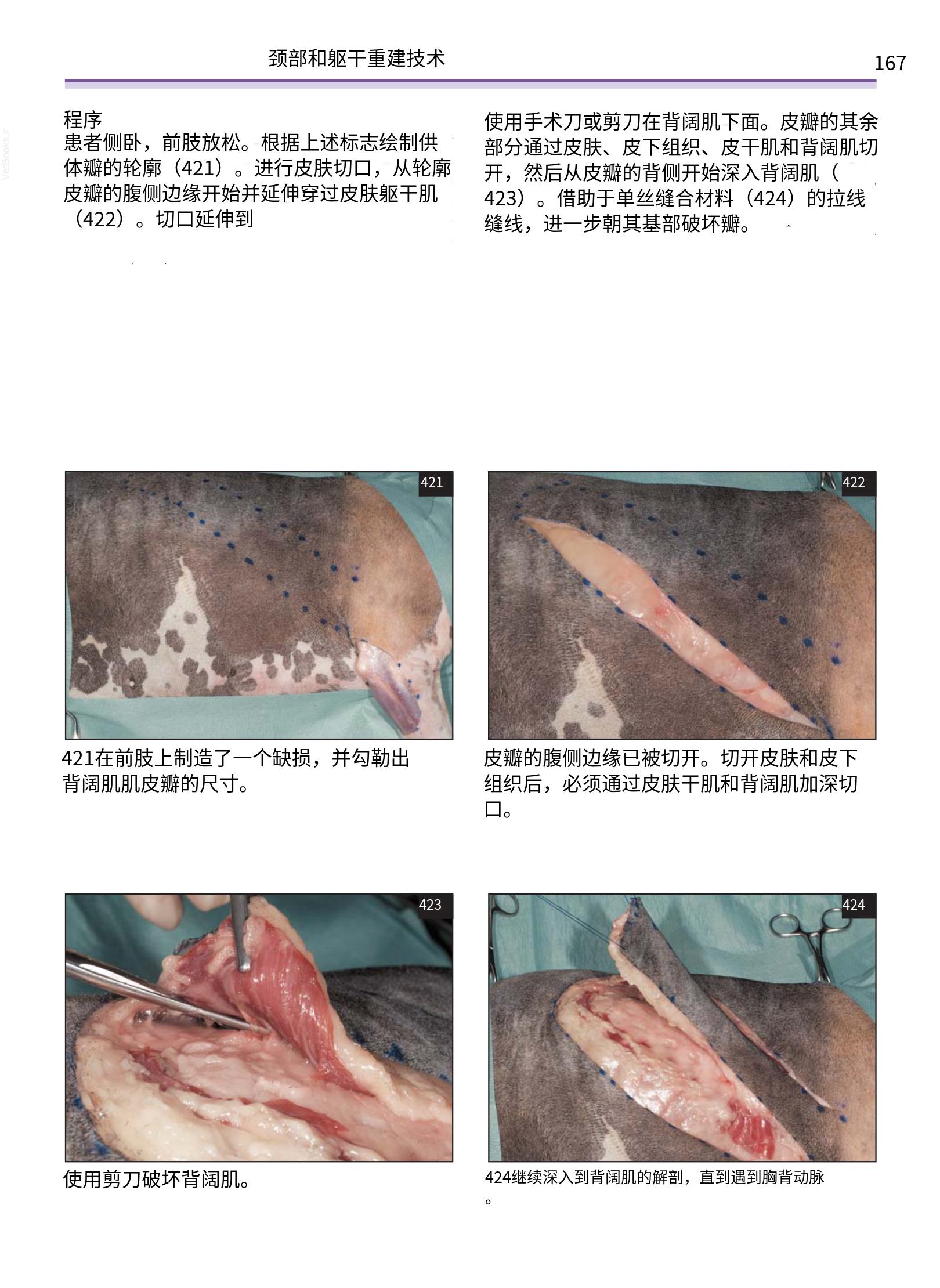 translated.a8c5a3760bed415983298318b0ec0541_168.png