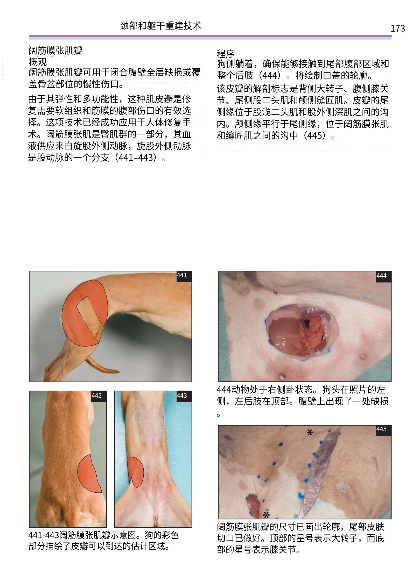 translated.a8c5a3760bed415983298318b0ec0541_174.png