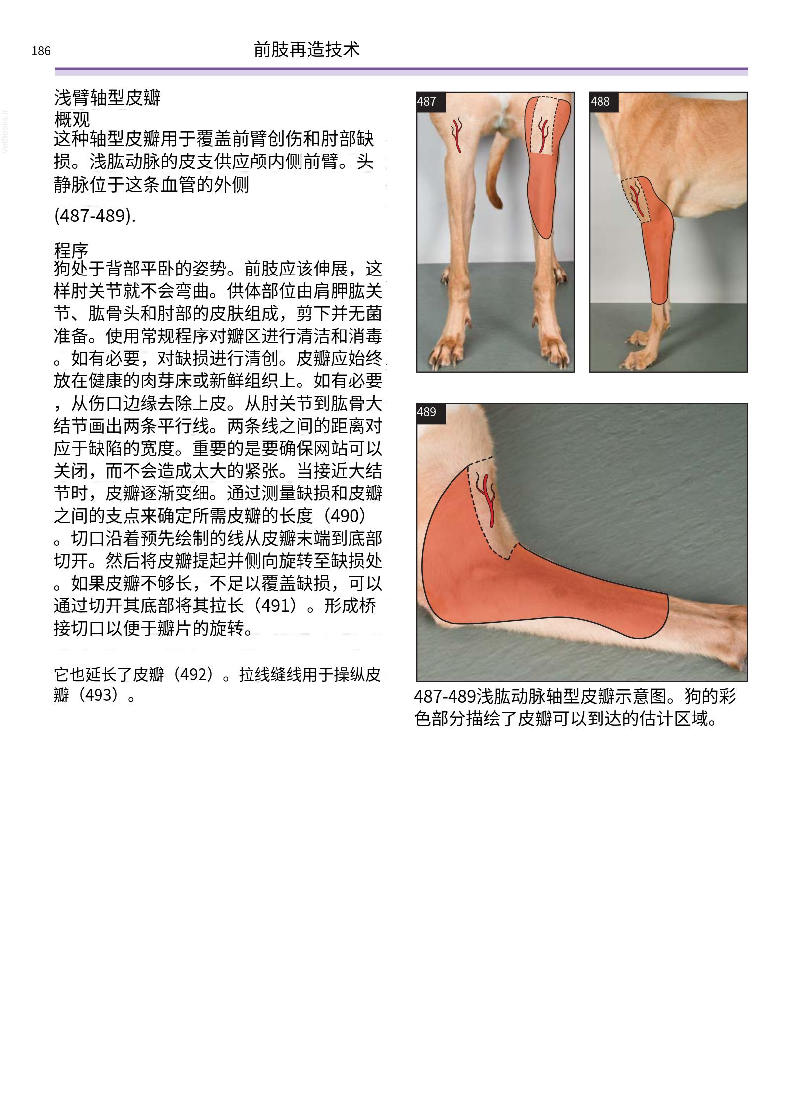 translated.a8c5a3760bed415983298318b0ec0541_187.png