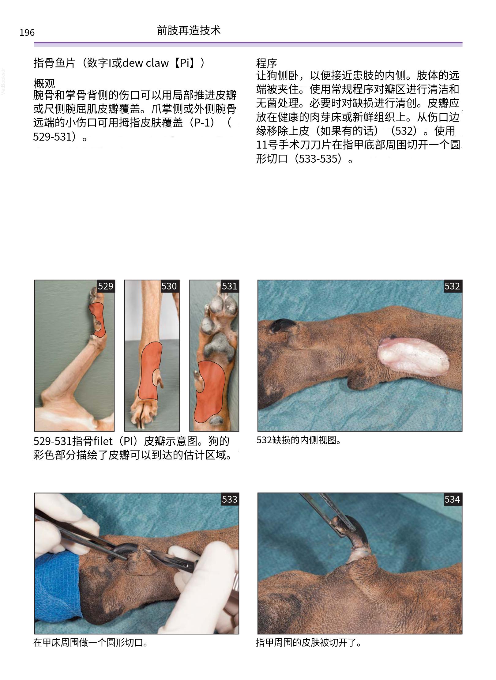 translated.a8c5a3760bed415983298318b0ec0541_197.png