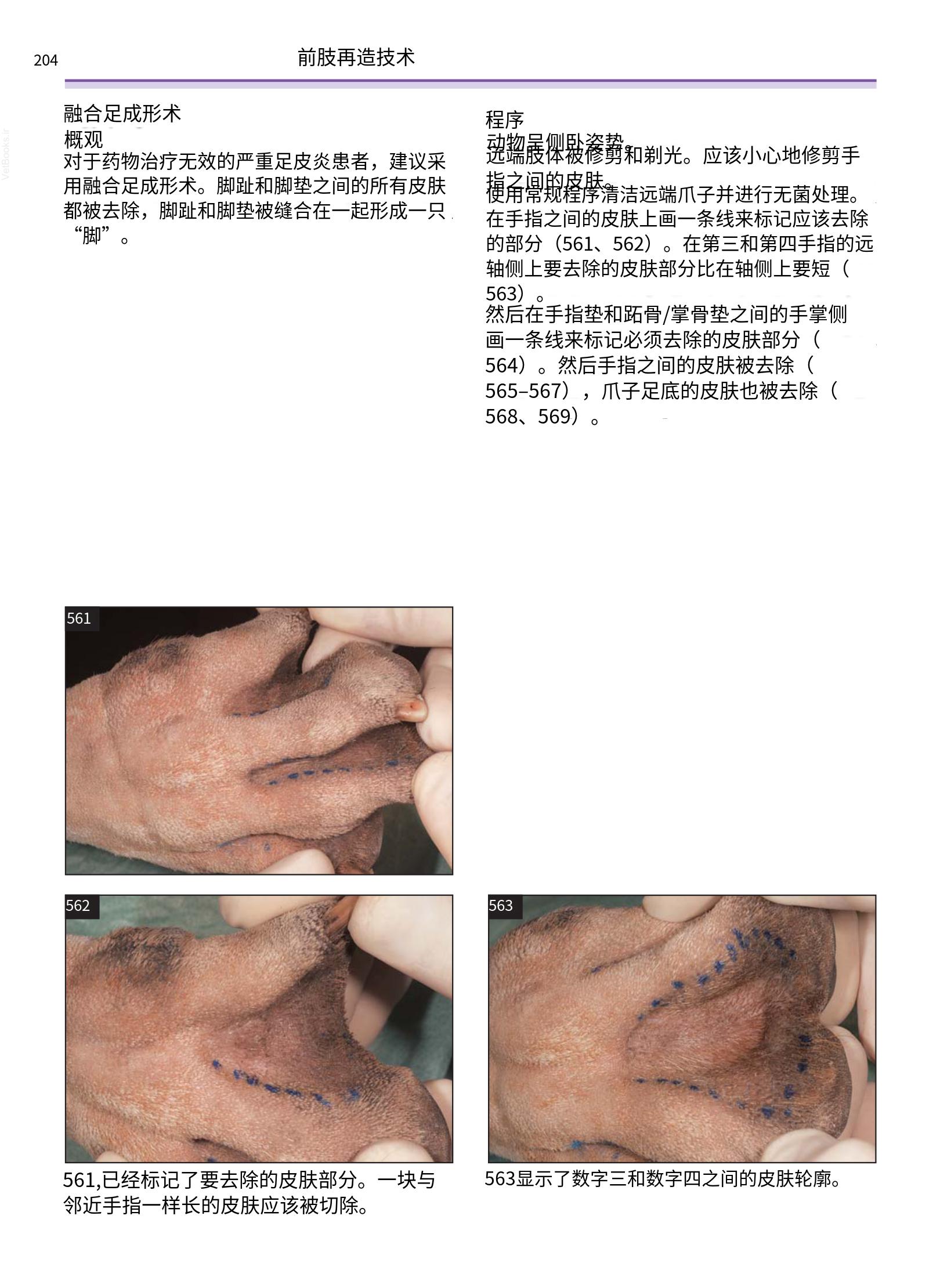 translated.a8c5a3760bed415983298318b0ec0541_205.png