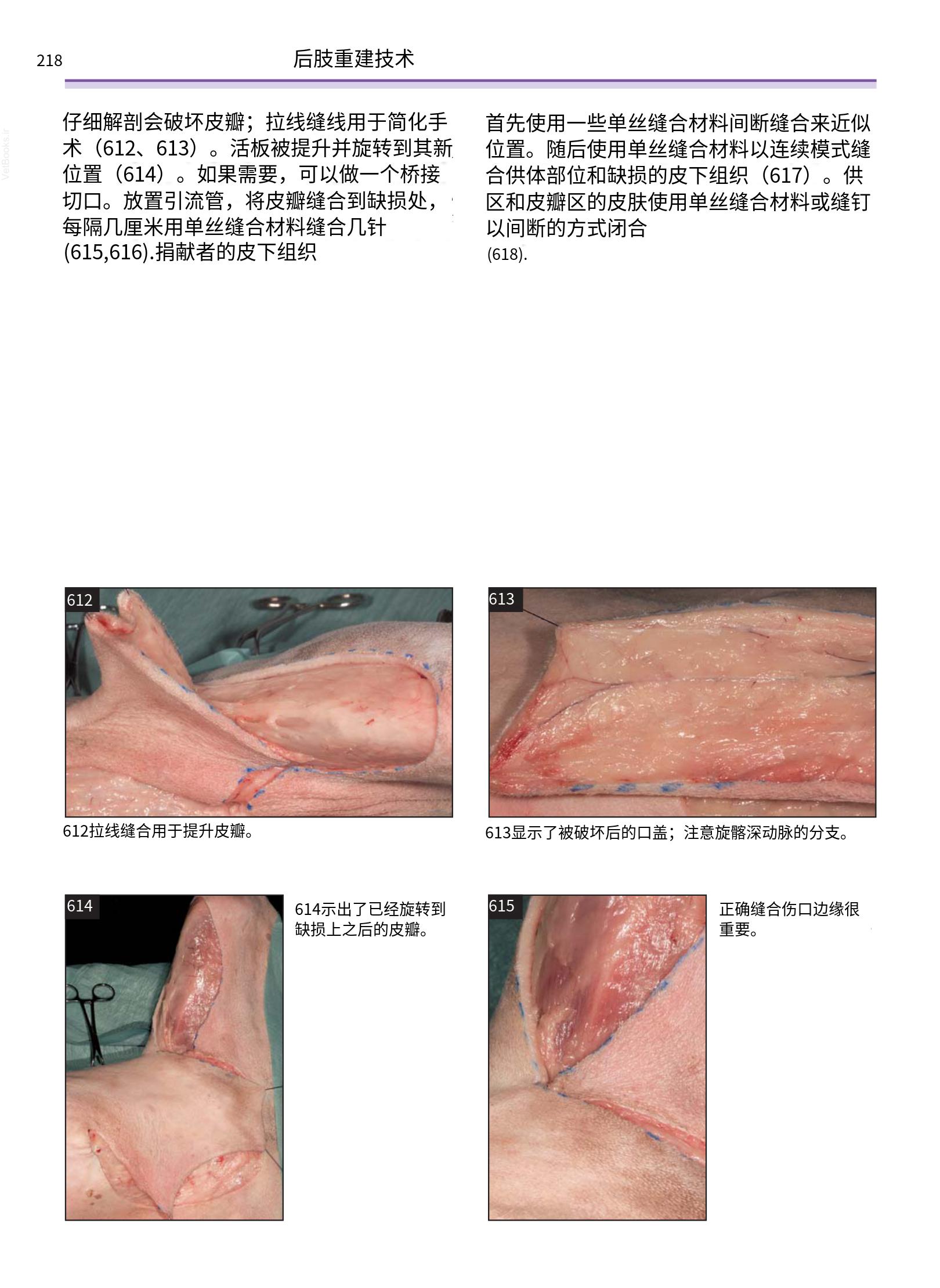 translated.a8c5a3760bed415983298318b0ec0541_219.png