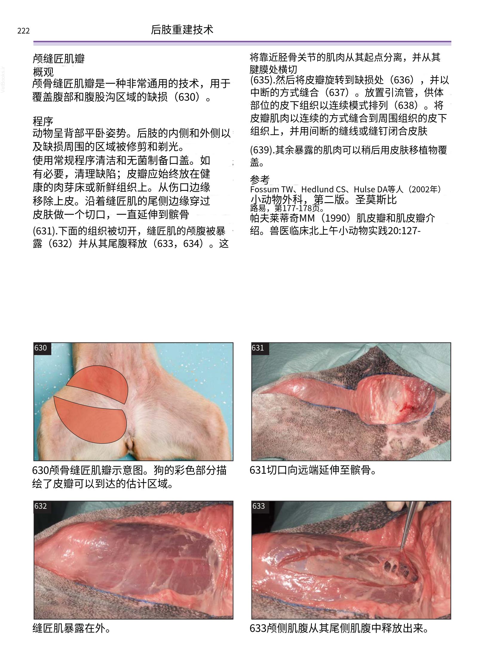 translated.a8c5a3760bed415983298318b0ec0541_223.png