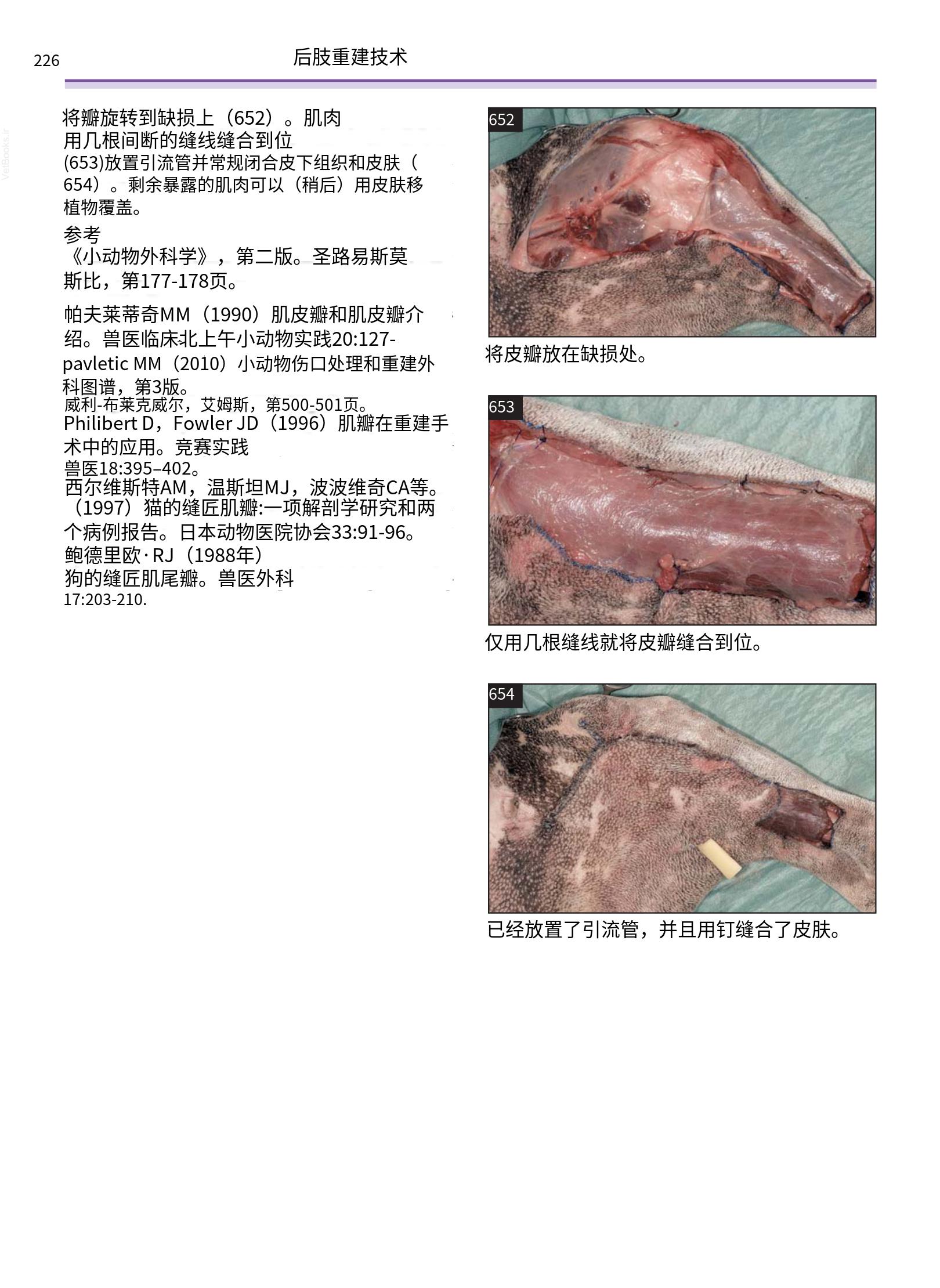 translated.a8c5a3760bed415983298318b0ec0541_227.png