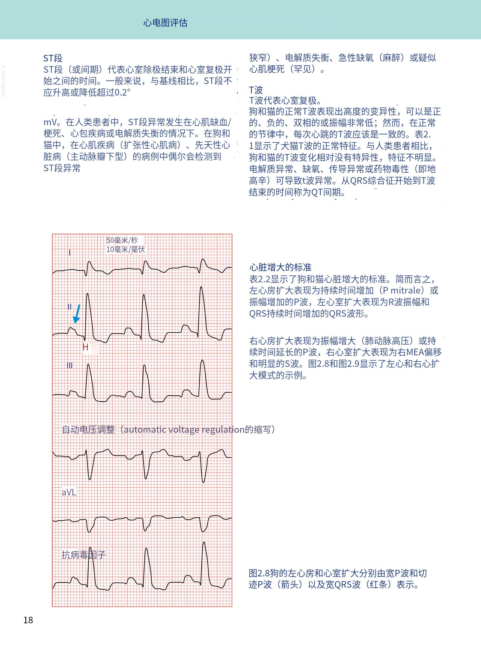 translated.08360f77efdd439f8d33c7a2dc6aedd5_31.png