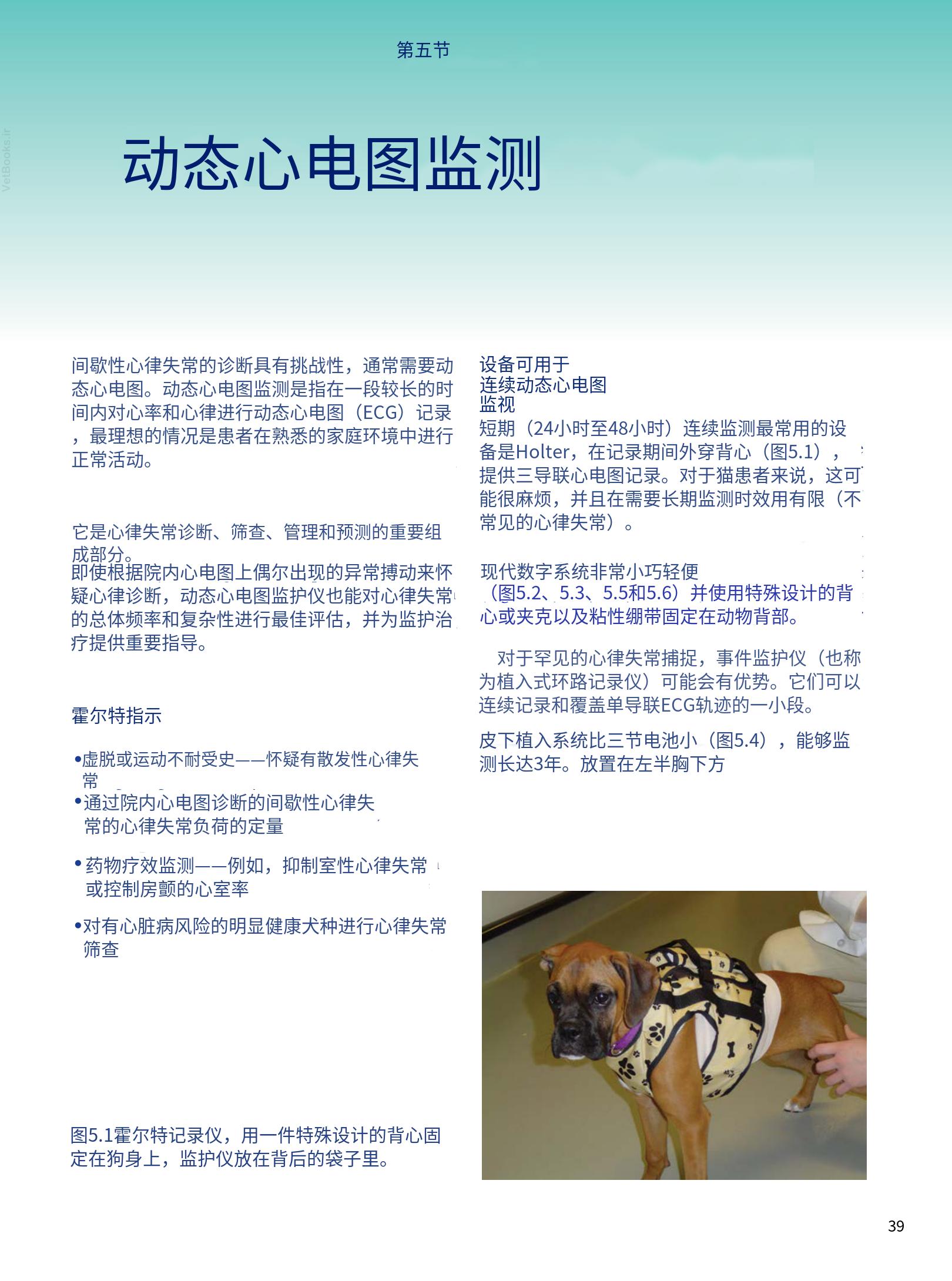 translated.08360f77efdd439f8d33c7a2dc6aedd5_52.png