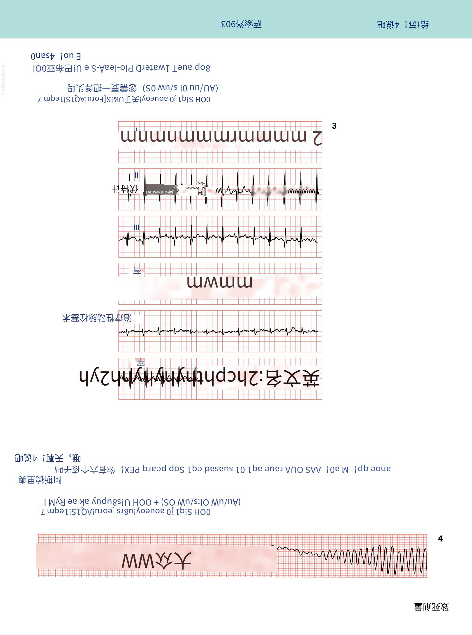 translated.08360f77efdd439f8d33c7a2dc6aedd5_60.png