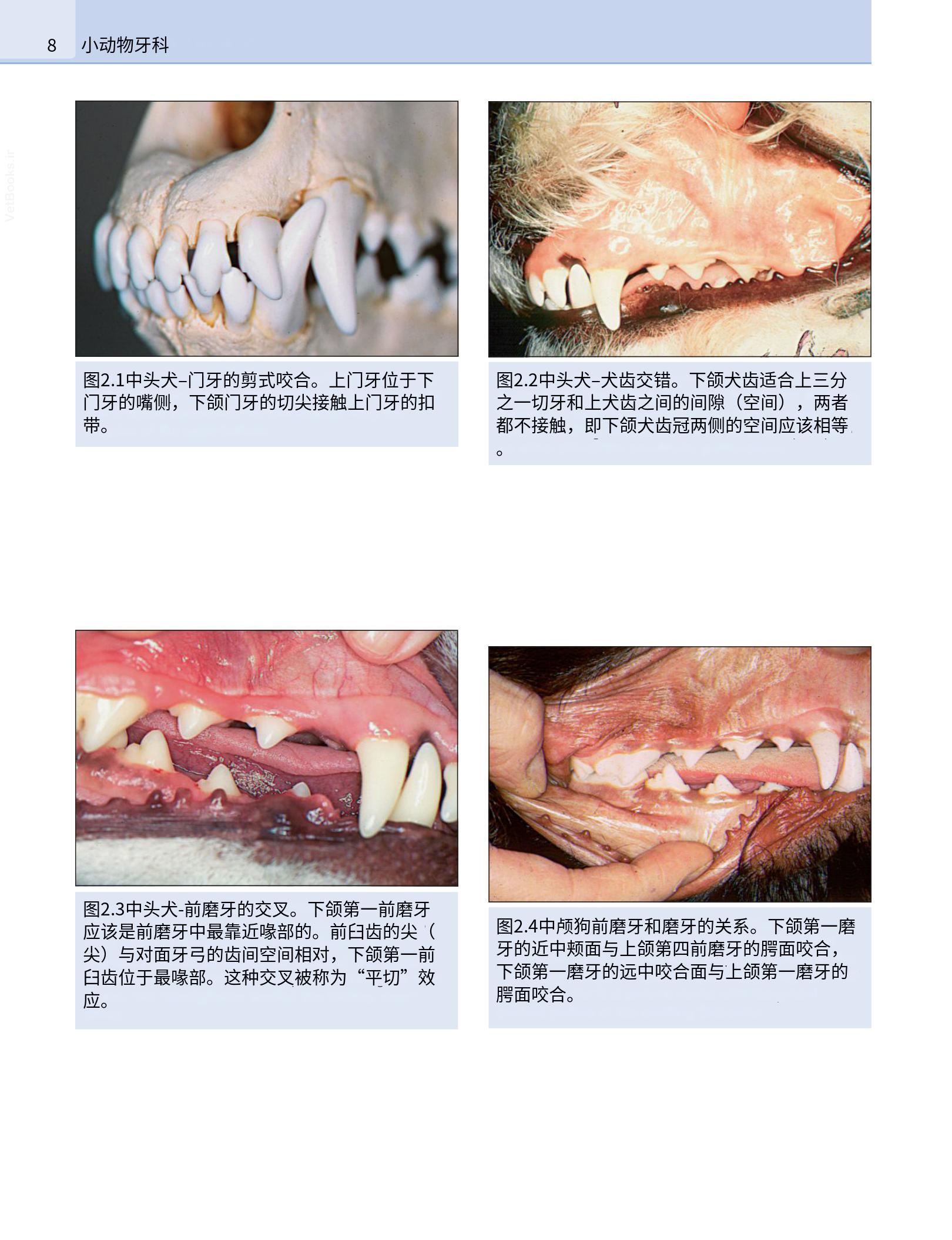 translated.b7292c0d57be45399560cb3cf2e1883e_24.png