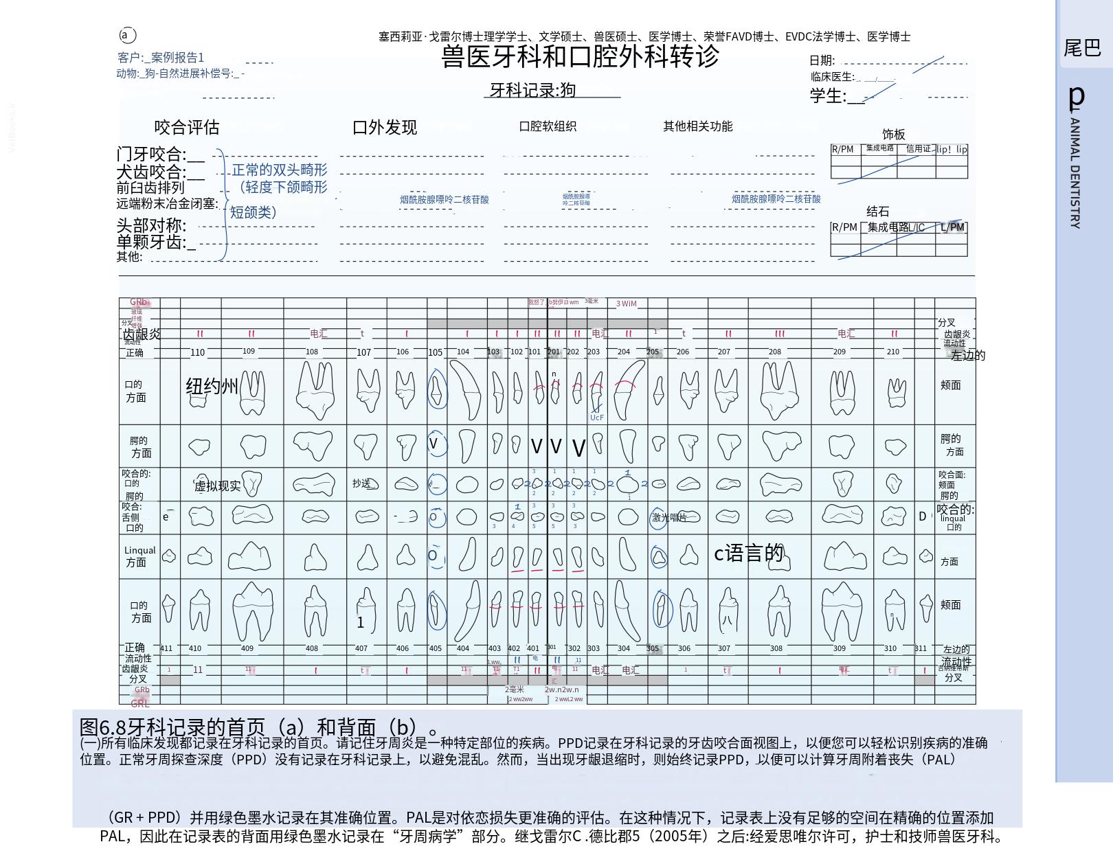 translated.b7292c0d57be45399560cb3cf2e1883e_58.png