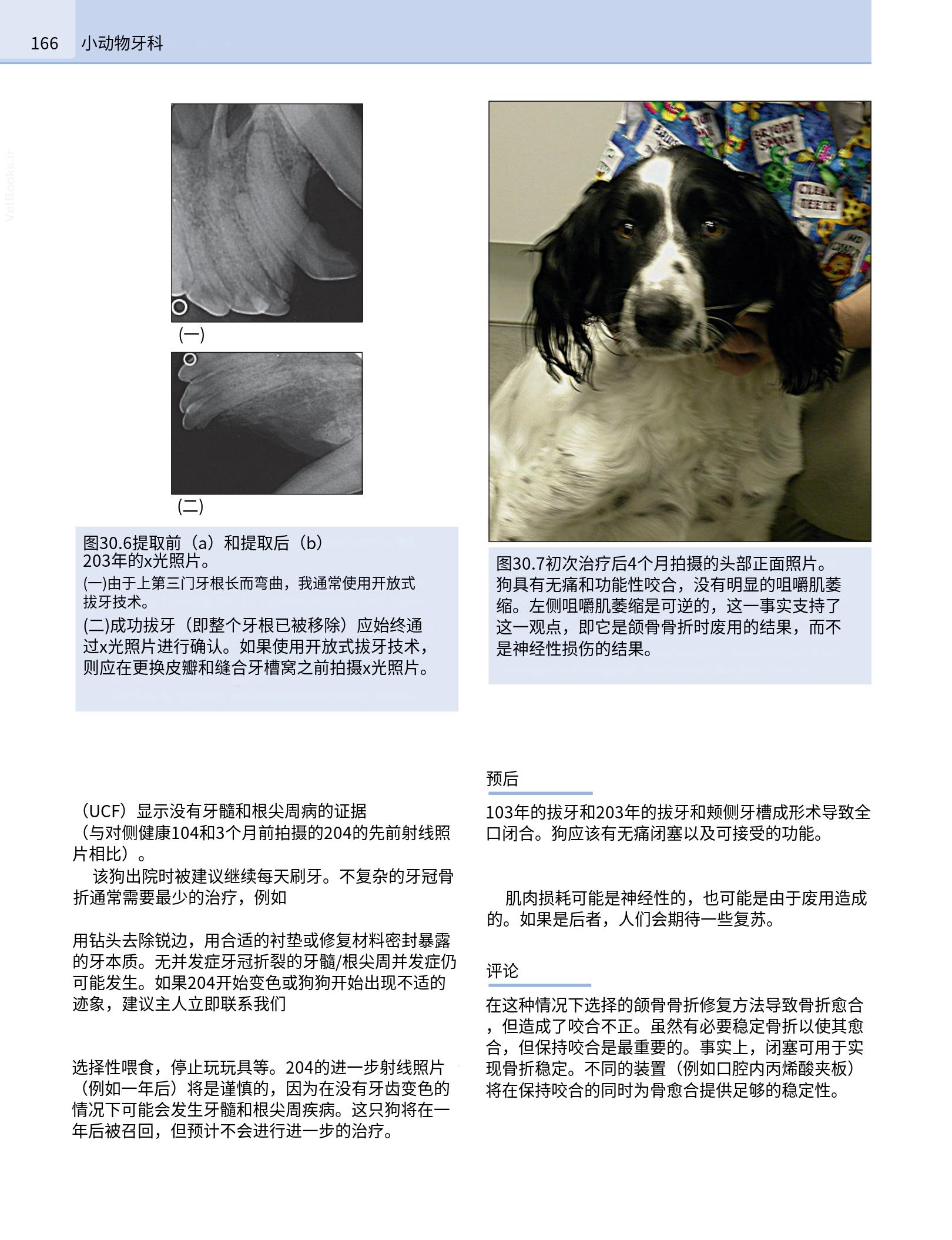 translated.190871bac2d541c7a0f8f6f738909688_182.png