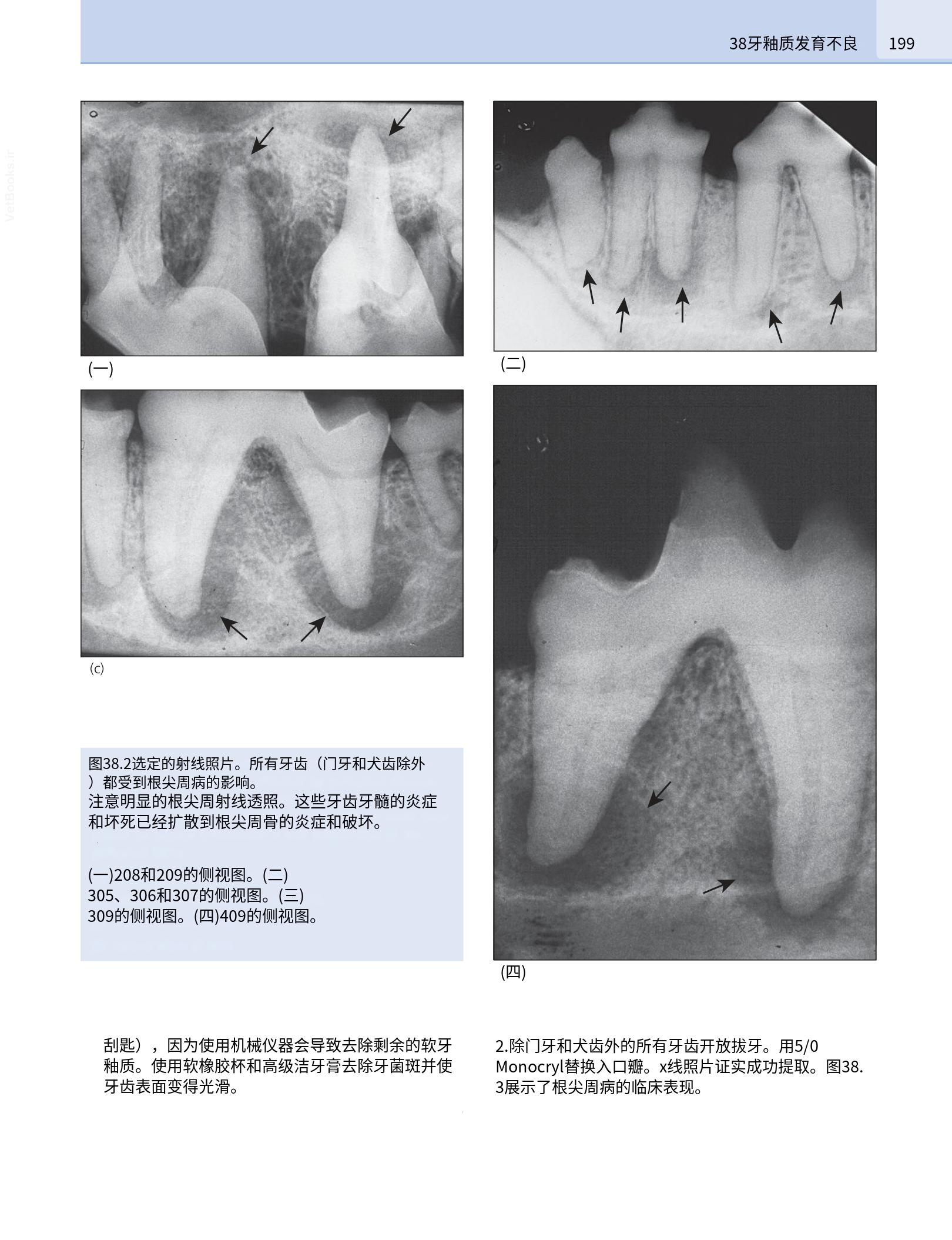translated.190871bac2d541c7a0f8f6f738909688_215.png